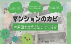 マンションにカビが生える原因は？対策や除去方法まで解説