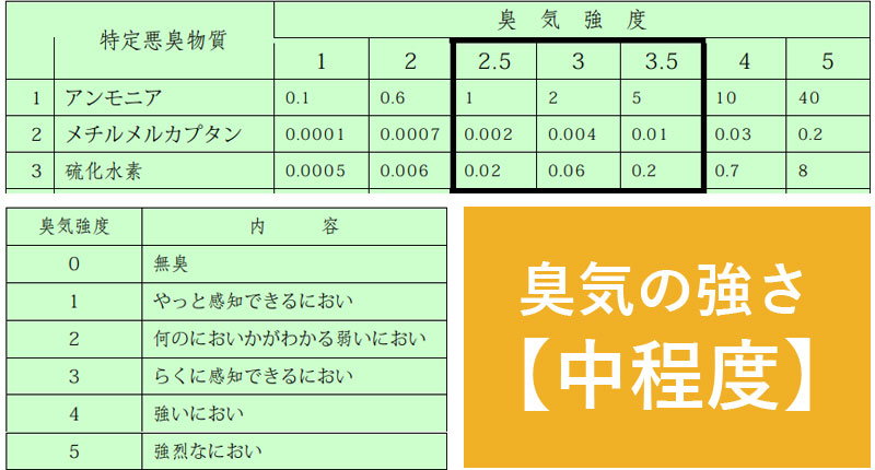 硫化水素のニオイの強さは中程度