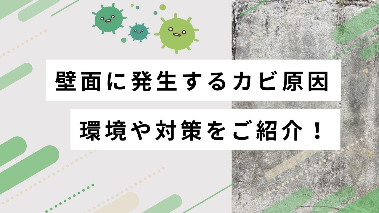 壁面のカビの原因は？発生しやすい環境や対策方法を紹介