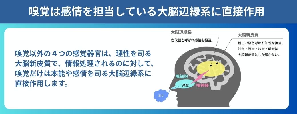 香りによるリラックス空間の演出