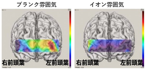 脳のパフォーマンスやテスト