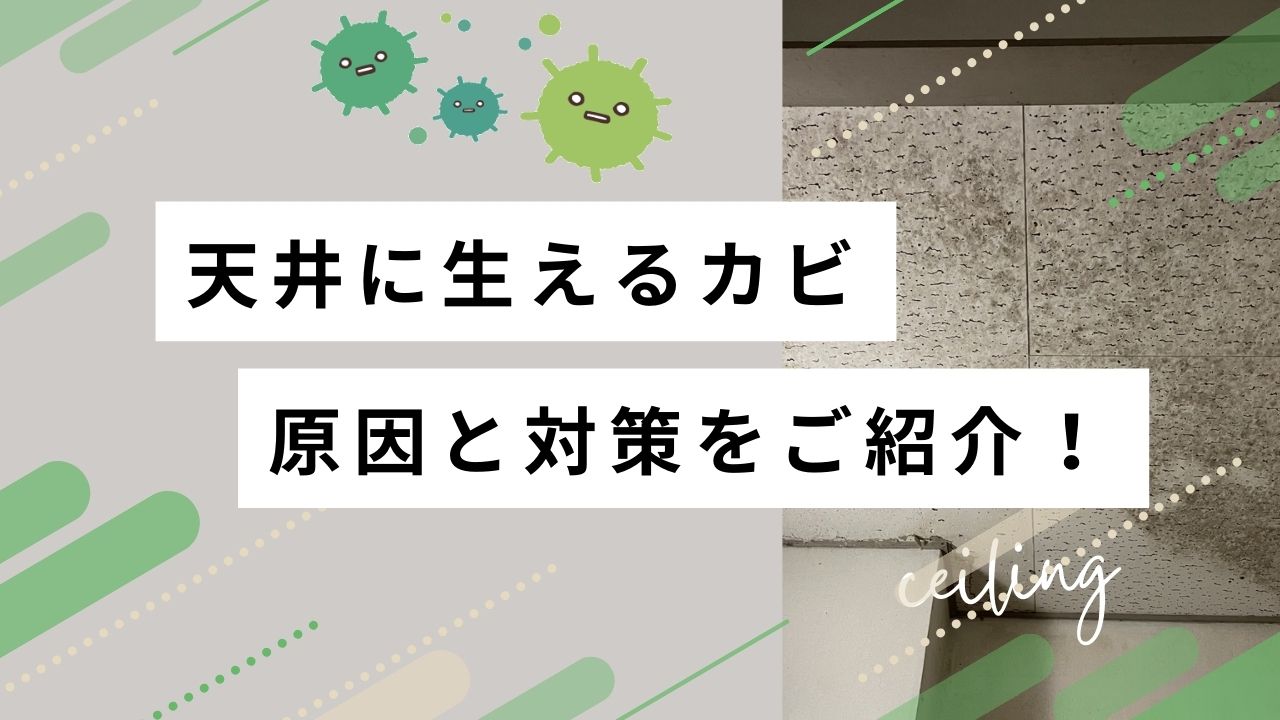 天井カビの原因と対策は？危険なカビを安全に除去！