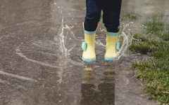 梅雨時の防カビ対策