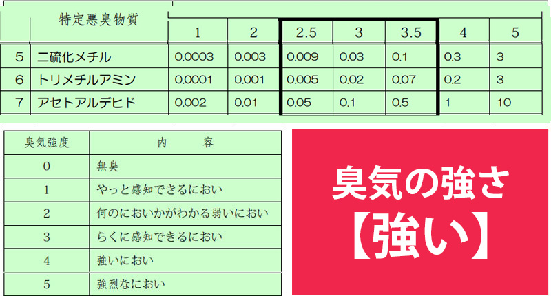 二硫化メチル臭気の強さ