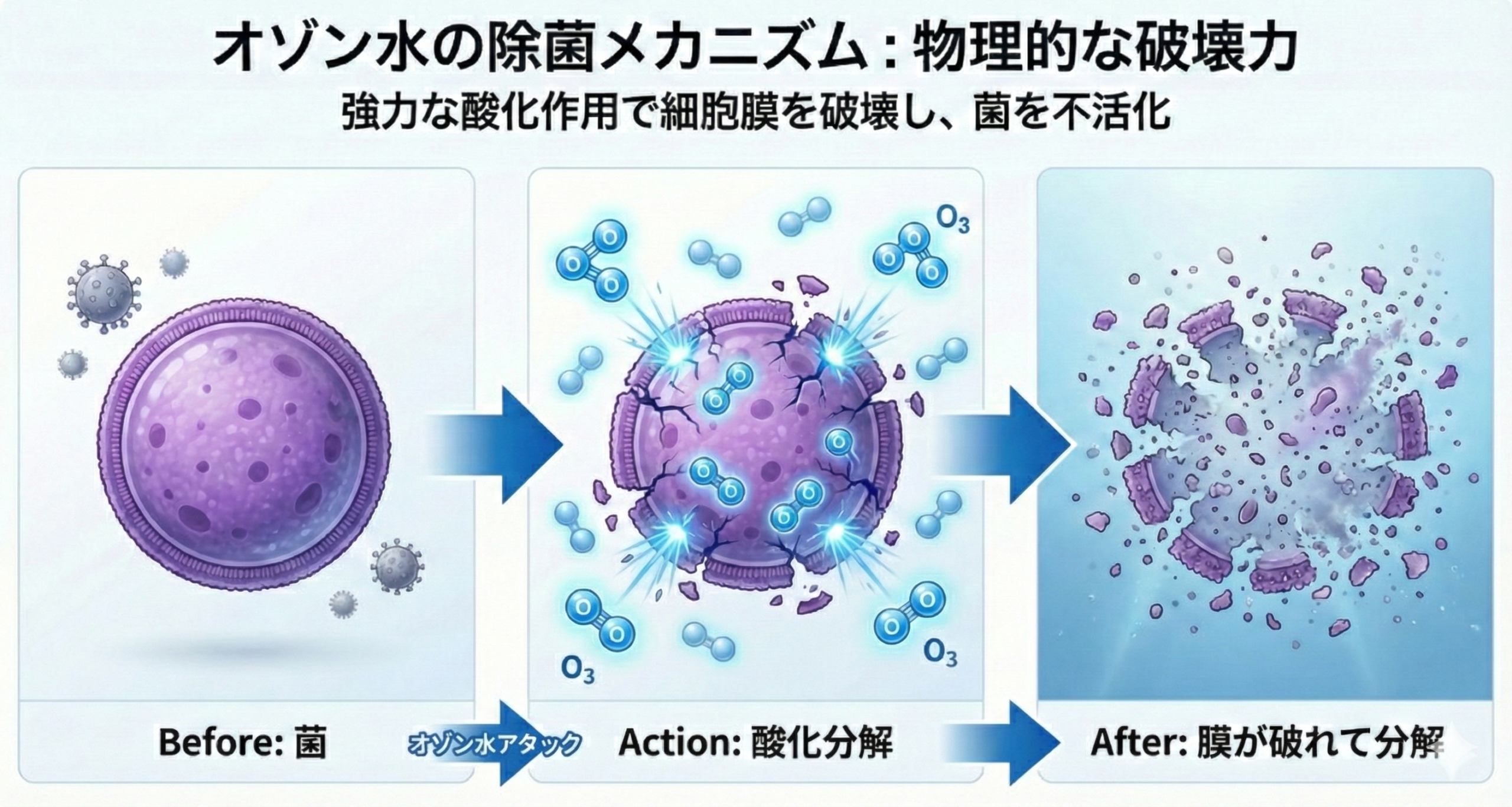 オゾン水の除菌効果の考え方
