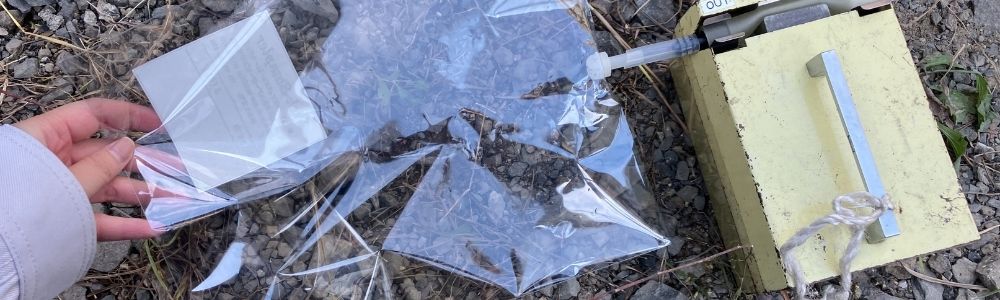 プラズマ脱臭装置テスト