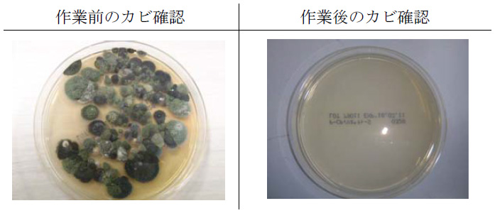 除カビ＆防カビ後の作業前と作業後の写真