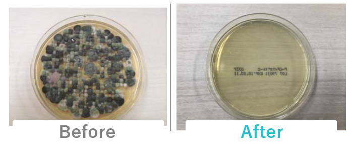 除カビ＆防カビ後の作業前と作業後の写真