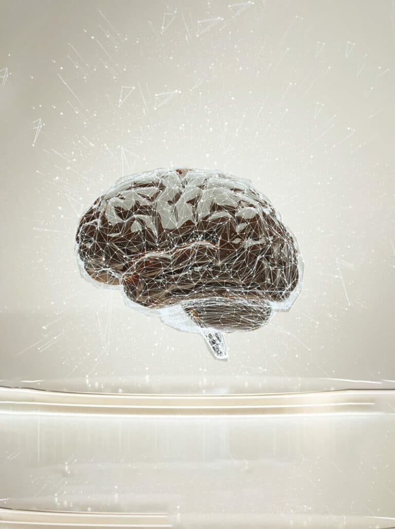 脳科学イメージ図