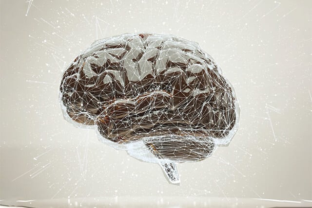 脳科学イメージ図sp