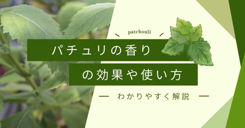 パチュリの香りの効果と効能！成分や使用方法を紹介