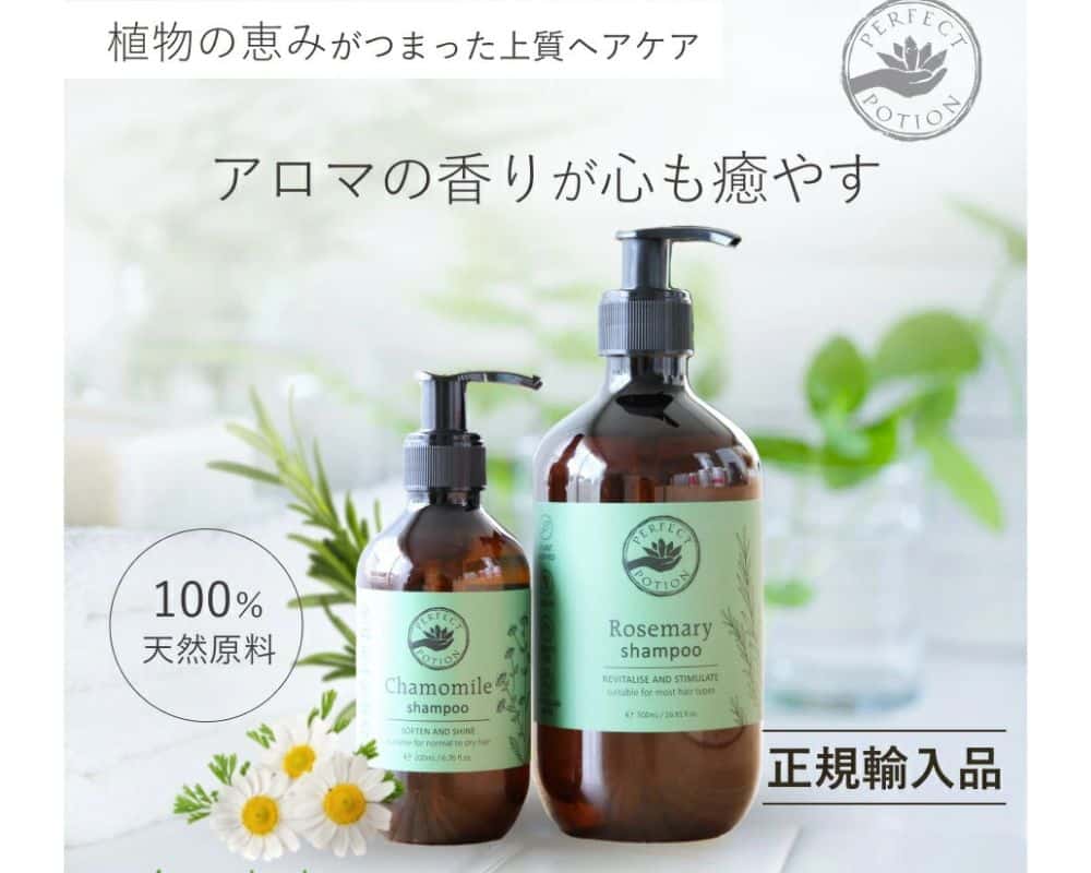 パーフェクトポーション