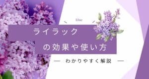 ライラックの香りの効果と効能！成分や使用方法を紹介