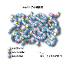 マイクロゲル概要図