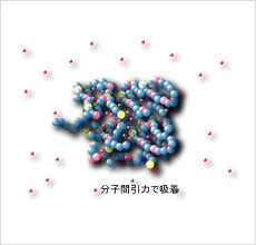 分子間引力で吸着