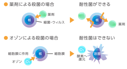 除菌の仕組み