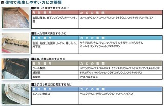 住宅カビ一覧